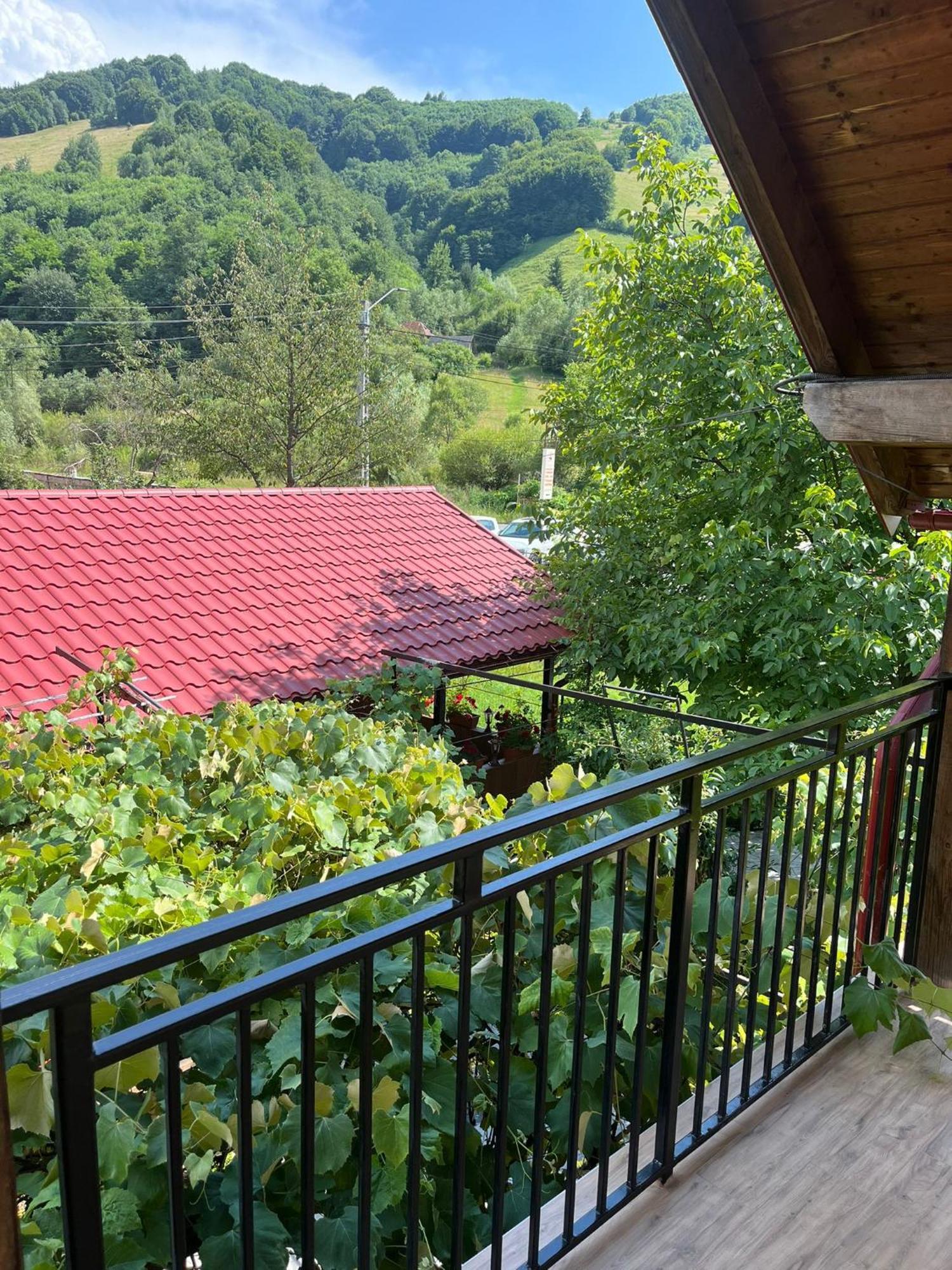 Hotel Kilometru108 Leordina Esterno foto